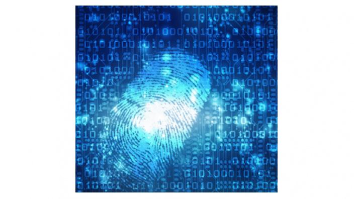 Innere Sicherheit